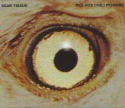 Red Hot Chili Peppers : Scar Tissue